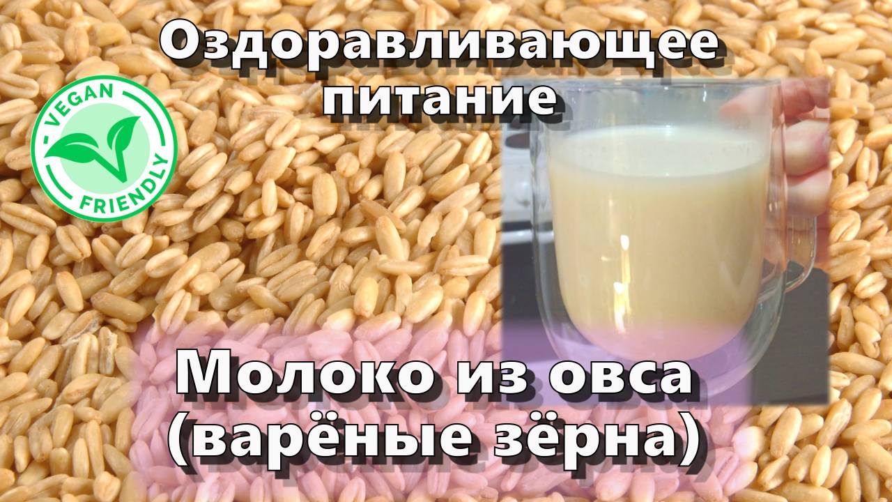 Молоко из овса (варёные зёрна) — Рецепты — Оздоравливающее питание смотреть онлайн