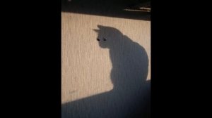 ИГРА ТЕНЕЙ. МИСТИКА.