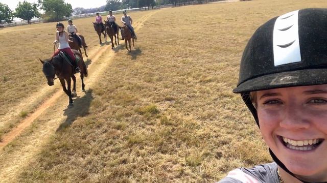 Galloping a thoroughbred смотреть онлайн