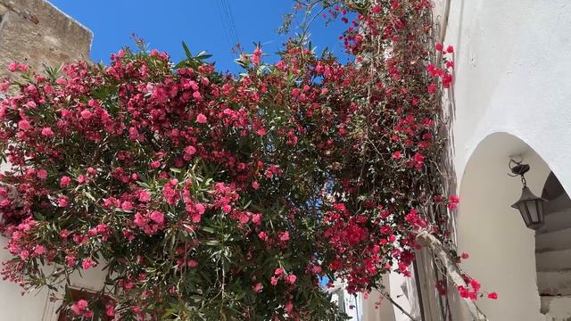 Алиса на островах Парикия и Парос в Греции 2024 смотреть онлайн