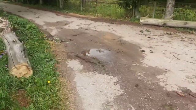 29 июня 2021года тульская область тайдаково последствия ураган смотреть онлайн