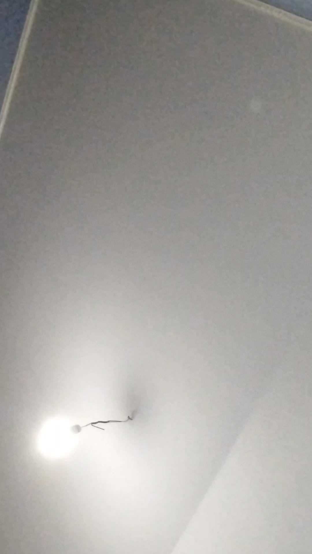 вива смотреть онлайн