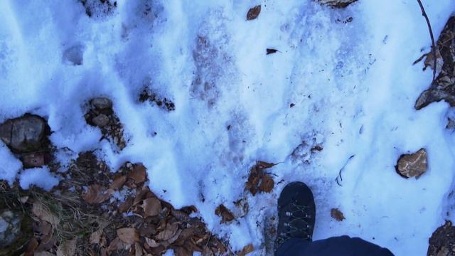 Bivacco Aldo e Mario - Baite Lanzola | Valle di Sella - Borgo Valsugana #hiking #trentino смотреть онлайн