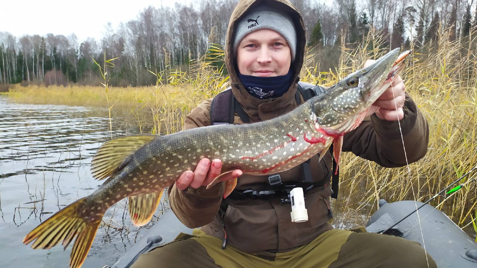 Рыбалка. Ловля щуки на спиннинг осенью.Приготовили Уху на костре.Ловля щуки на кружки. смотреть онлайн