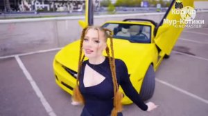 POLI - ПУШКА-ГОНКА "Лучшие песни" (Котики Мур-Котики, 18.07.2023, 18:40 КТК)