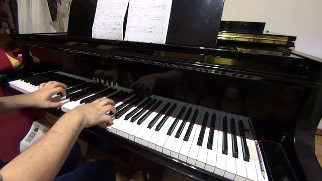 Sicilienne by J. S. Bach, BWV 1031 смотреть онлайн