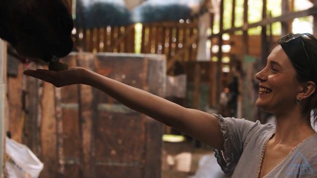 Юлия Бирюлина - Мы Идём С Конём (кавер Любэ) смотреть онлайн