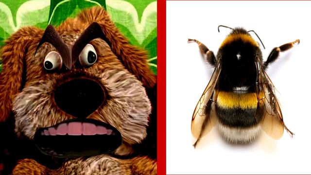 Ocean Wonders Preschool