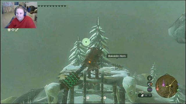 Echoes of Destiny: A New Chapter in Zelda's Kingdom2 ts 1 смотреть онлайн