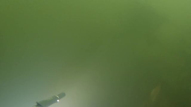 Sperfishing Ukraine 2015 catfish, pikepearch vol 1 - Агонь spearfishing club смотреть онлайн