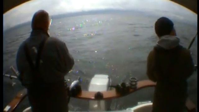 0AOMLEJ0 смотреть онлайн