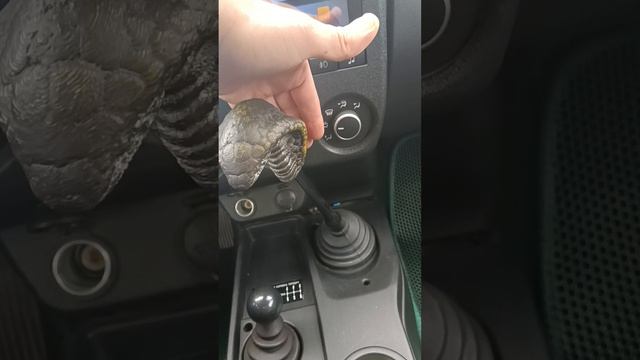 2din магнитола и ручка КПП нива легенд смотреть онлайн