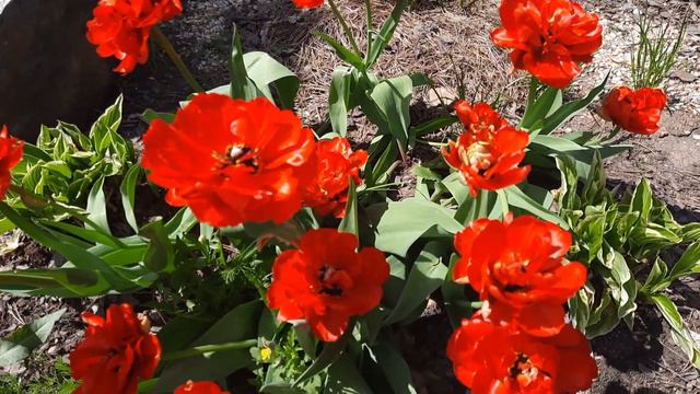 Анонс на 10900! смотреть онлайн