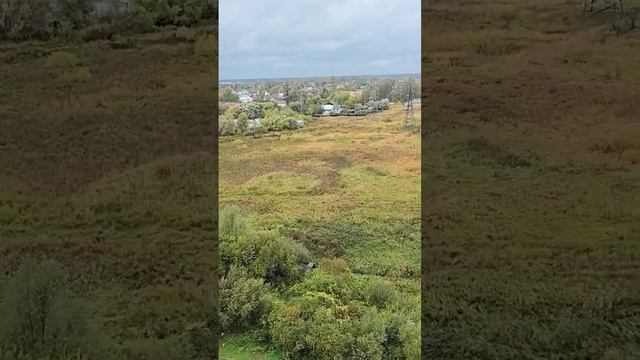 Осень, осень, настоящая осень #осень #дождь #дождливаяосень #настоящаяосень #сентябрь #конецсентября смотреть онлайн