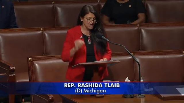Rashida Tlaib Opposes Iron Dome Funding, Accuses Israel Of 'War Crimes' смотреть онлайн
