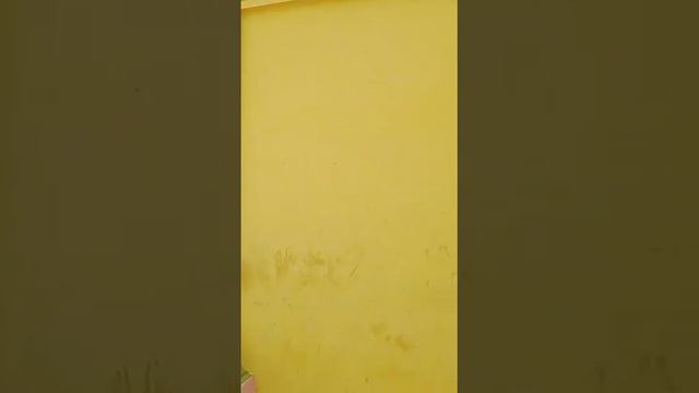 HAZRAT AMEER HAMZA SULTAN a.s ibn e ALI a.s ROZA MUBARAK talking imran habib смотреть онлайн