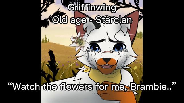 Some of my Warrior cats oc’s deaths + last words смотреть онлайн