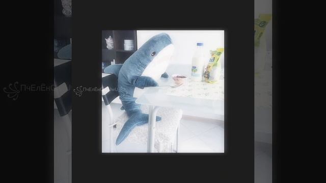 ~ Эстетика Мягких игрушек ~🧸💞 смотреть онлайн