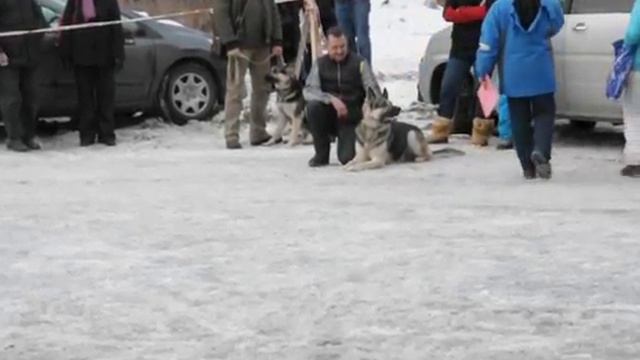 DSC 0215 смотреть онлайн