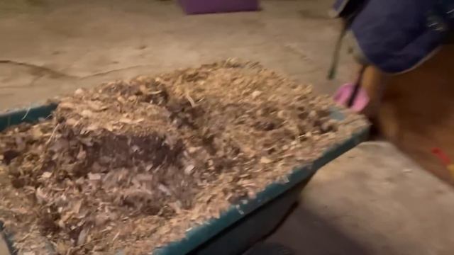 FARMER TO MODEL! Day in the life смотреть онлайн