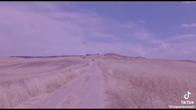 Diyarbakır arazi kavgası смотреть онлайн