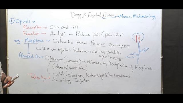 drug and alcohol abuse class 12 || adolescence and drug/alcohol abuse class 12 смотреть онлайн
