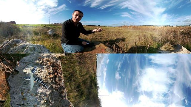 (In 360°) Herald Snake near Brackenfell, Cape Town, Western Cape, South Africa (20170517) смотреть онлайн