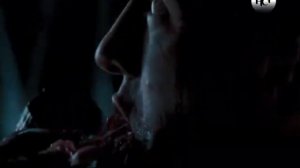 НСТ. Антология Страхомотографа