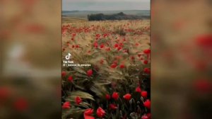 в каждом из нас есть частичка России