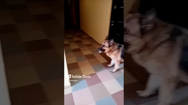 Атосик молодец. смотреть онлайн