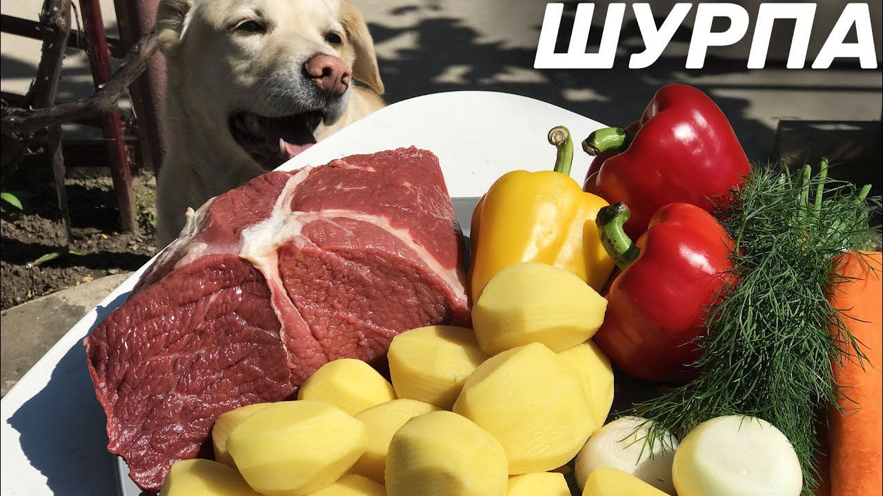 АРОМАТЫ КАЗАНА