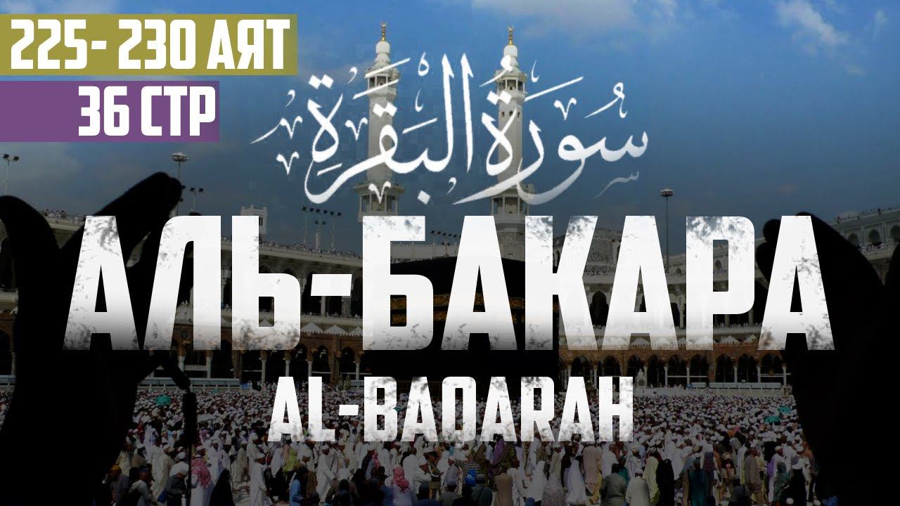 Cура аль Бакара 225 - 230 аят Абу Хабиба | Sourate al Baqarah | سورة البقرة смотреть онлайн