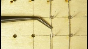 Светодиодный куб (led cube) 8x8x8. Сборка 1-го слоя.