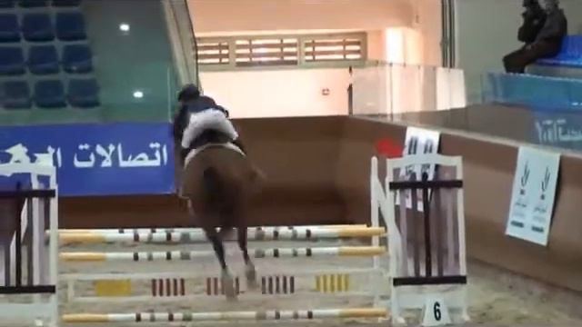 HAYTHAM GABER смотреть онлайн