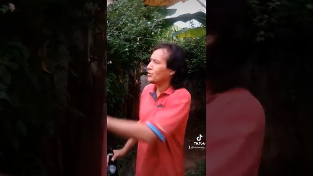 Tomas Ron: El Saludo😂 смотреть онлайн