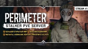PERIMETER PVE ● Stream #1 - Новый сервер по тематике S.T.A.L.K.E.R. на движке DayZ!