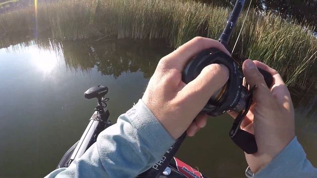 Late Summer Bass Fishing Day! (UNCUT Fishing Tips) смотреть онлайн