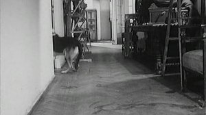 4_Tankista_i_Sobaka_006_Most 6 серия