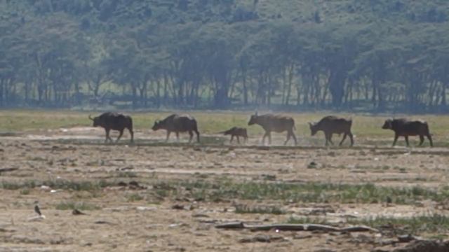 Посмотри вокруг!