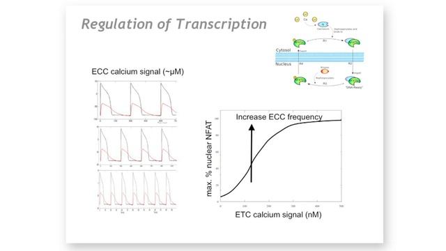 Edmund Crampin - Systems Biology смотреть онлайн