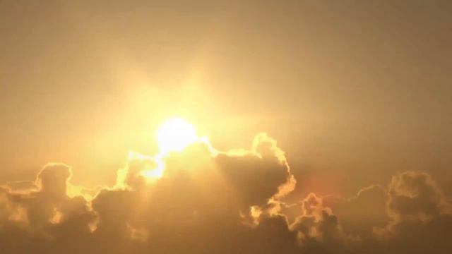 NUTRILITE™ Vitamin D смотреть онлайн