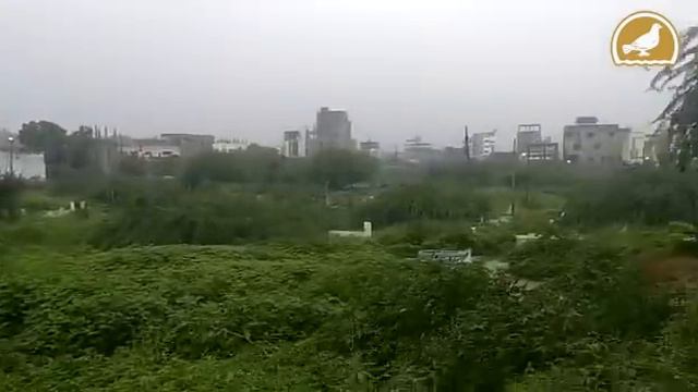 Several areas In Hyderabad flooded | Non-stop rains over last three days смотреть онлайн