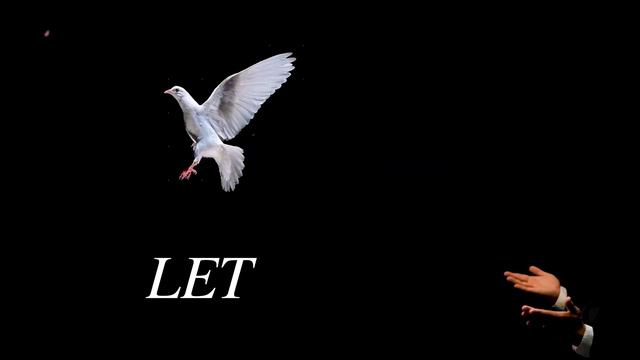 Why Max Joseph's Editing Makes Me Angry смотреть онлайн