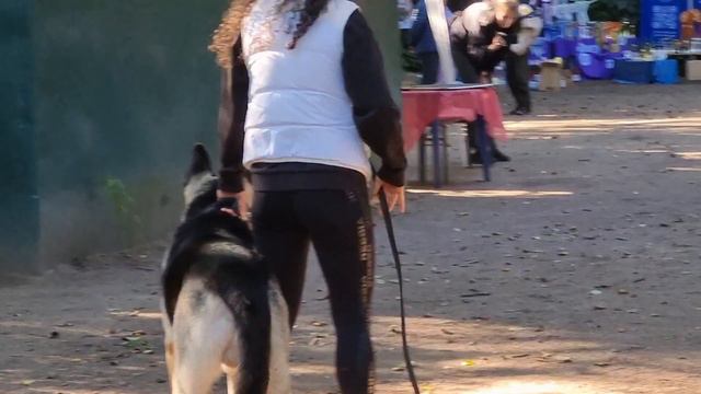 Элита Урала Зидан ПРК 21.09.24.ЦВЕО смотреть онлайн