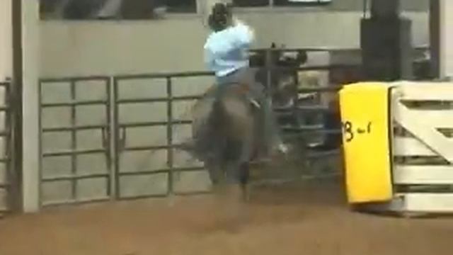 Barrel Racing - Work Hard, Play Harder