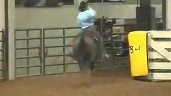 Barrel Racing - Work Hard, Play Harder