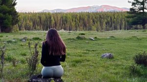 Красивая ДЕВУШКА ночует В ЛЕСУ С МЕДВЕДЯМИ. Соло выживание в дикой природе БУШКРАФТ | АСМР