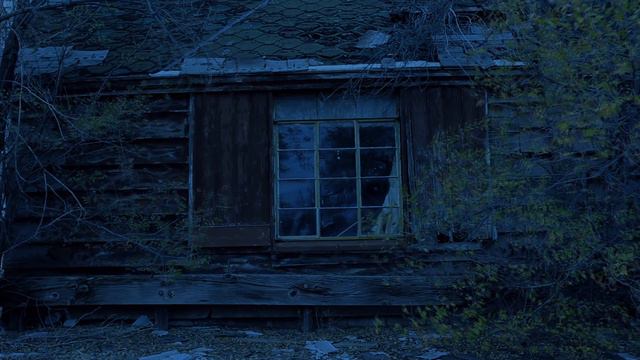 "I Need to Share what I Found in my Attic Last Night" Creepypasta смотреть онлайн