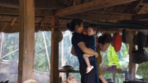 Harvest Pumpkin Seeds - Cook pumpkin for pigs & dogs - Cooking - Meeting Ly Phuc An.