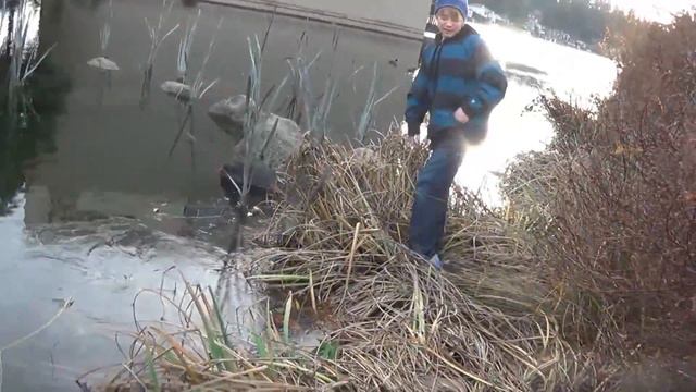 Noah And Joe's Adventure In Lakeoswego!! смотреть онлайн